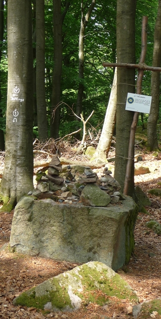 St.-Jost-Pilgerweg am Rimdidim in Fischbachtal