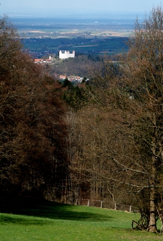 Blick auf Schloss Lichtenberg (Foto: Bernd Scheider)