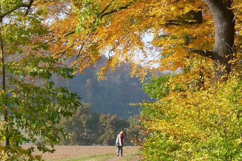 Wanderweg bei Lichtenberg