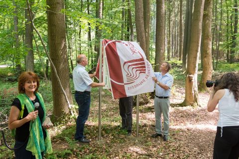 Die Geopunkt-Tafel "Kleines Felsenmeer Steinau" wird enhüllt (Foto: Bernd Dörwald)