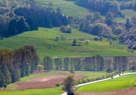 Herrenseegebiet zwischen Niedernhausen und Billings (Foto: Bernd Scheider)