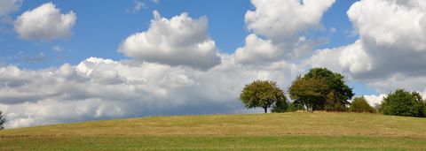 landschaft