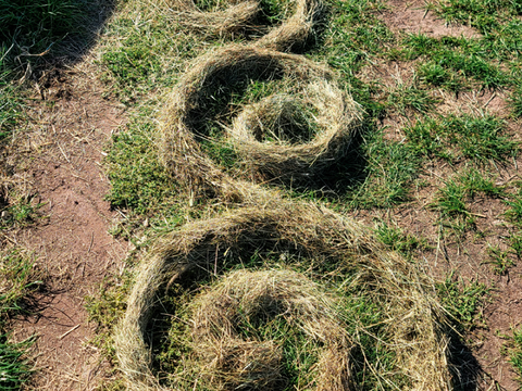 Landart (Foto:Verein für internationale Waldkunst e.V.)