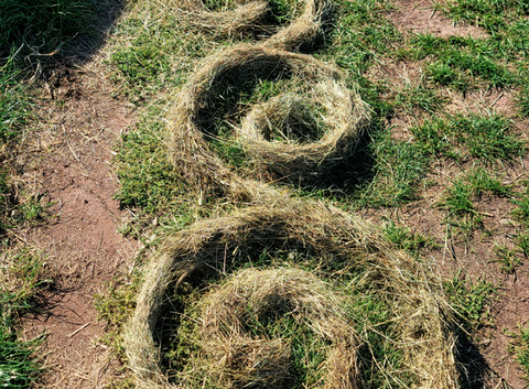 Landart (Foto:Verein für internationale Waldkunst e.V.)